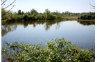 Property photo 8 - REAL ESTATE AUCTION - 126+/- ACRES OFFERED IN 4 TRACTS IN GREENE COUNTY, INDIANA